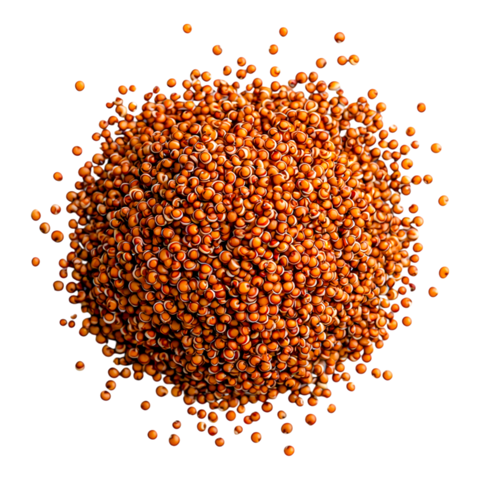 Orange Seeds in Abstract Dynamic Composition png