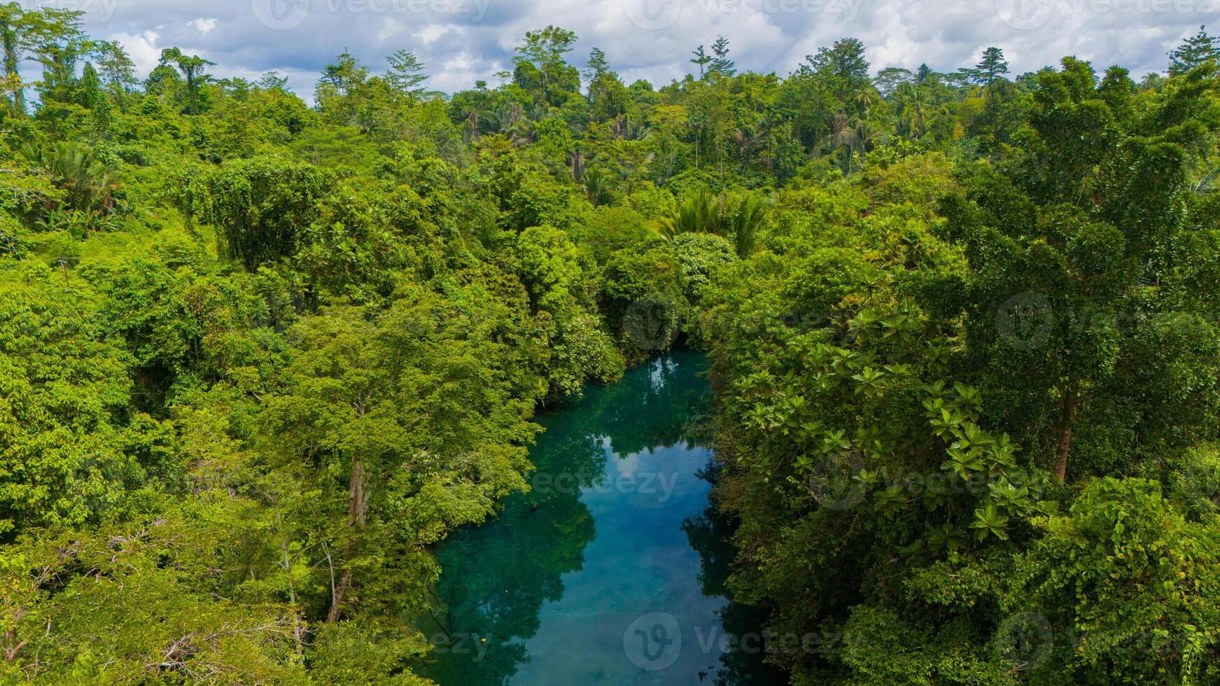 Aerial drone view of man is paddling on stand up paddleboarding in the mountain lake with pine trees forest photo