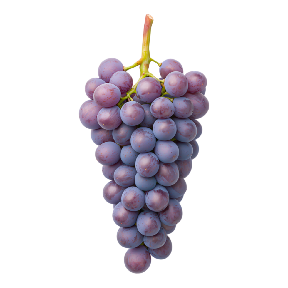 Fresh Red Grapes with Dew Drops png