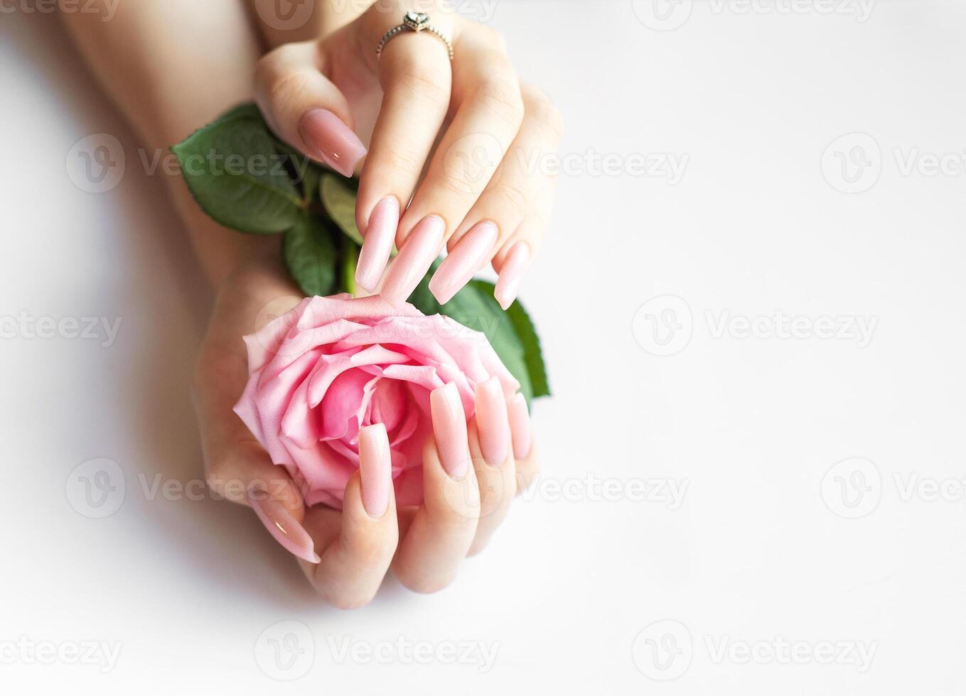 Woman showing pink manicure holding pink rose photo