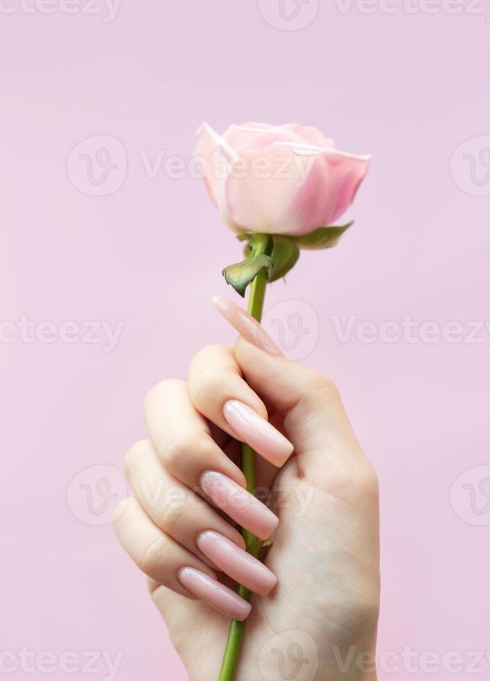 A woman holds a delicate pink rose with elegant long nails against a soft pink background photo