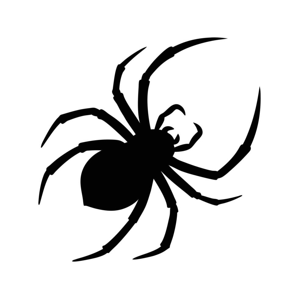 Basic Spider Silhouette Icon for Animal Graphic Design vector