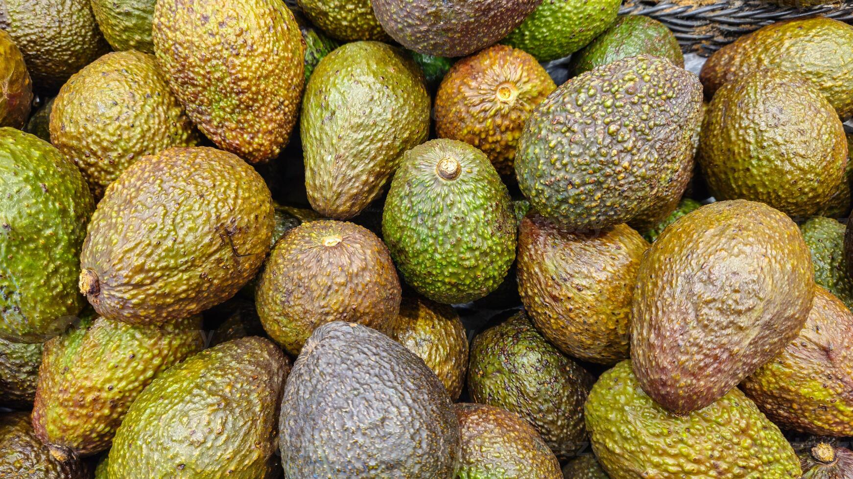 Avocado on the counter. Avocado in the store. Avocado background photo