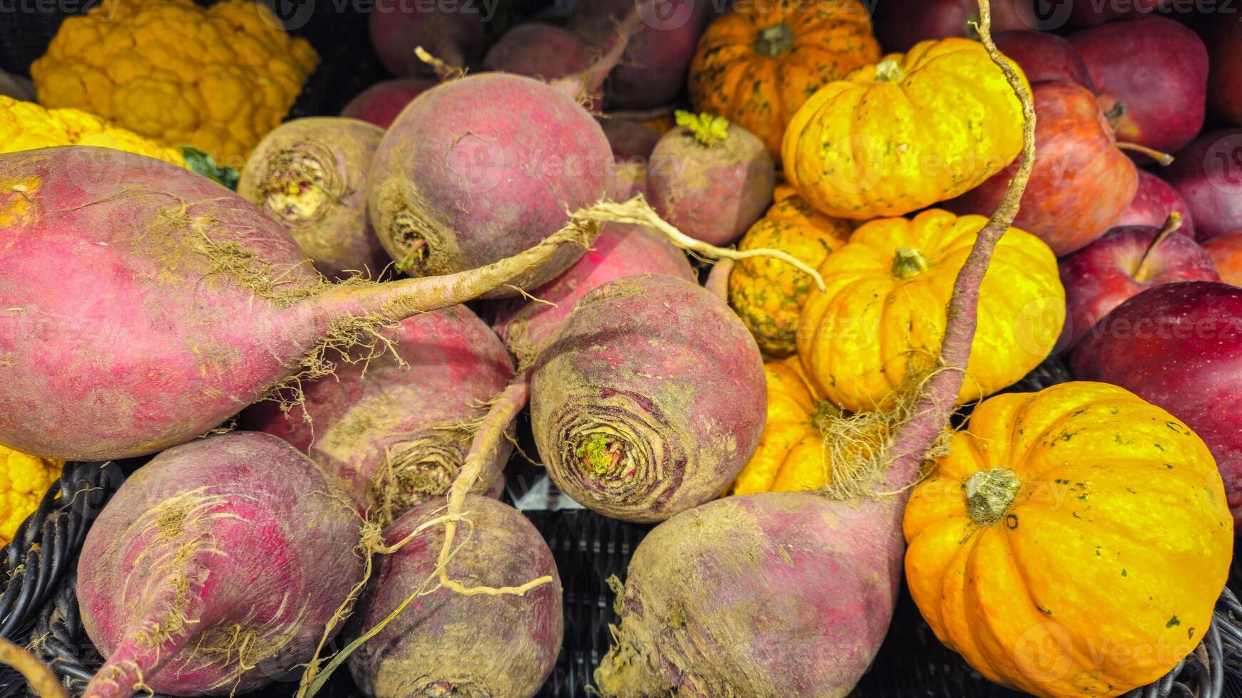 Vegetables on the counter in the store. Radish on the shelves. Beetroot photo