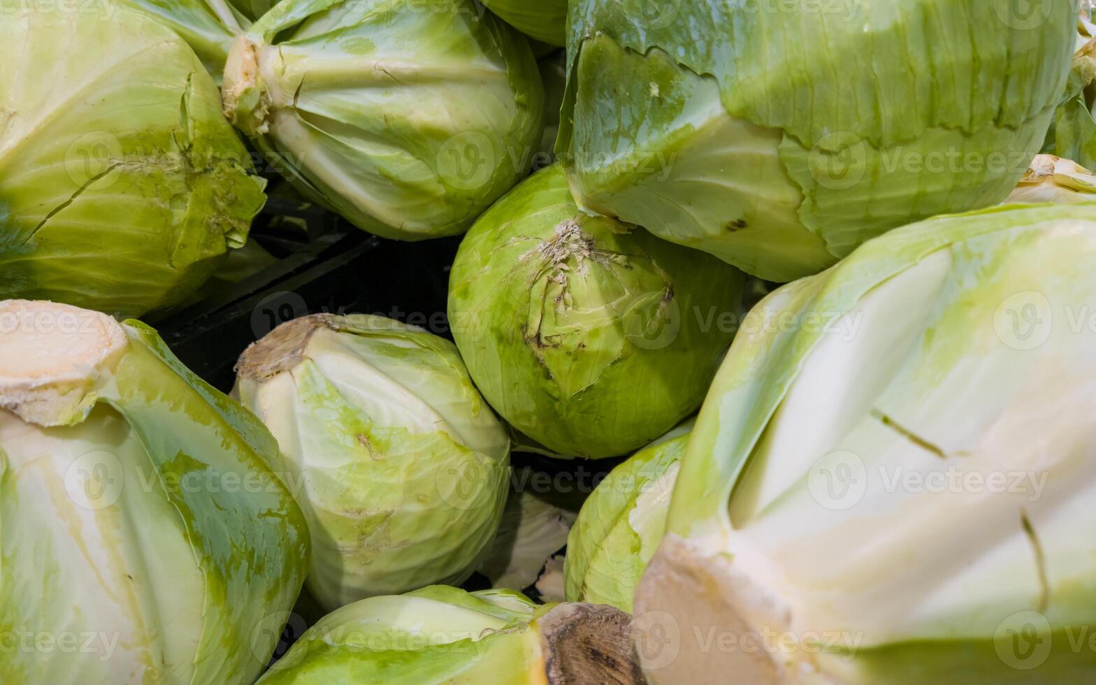 Cabbage background. Cabbage on the counter in the store. Vegetables for sale photo