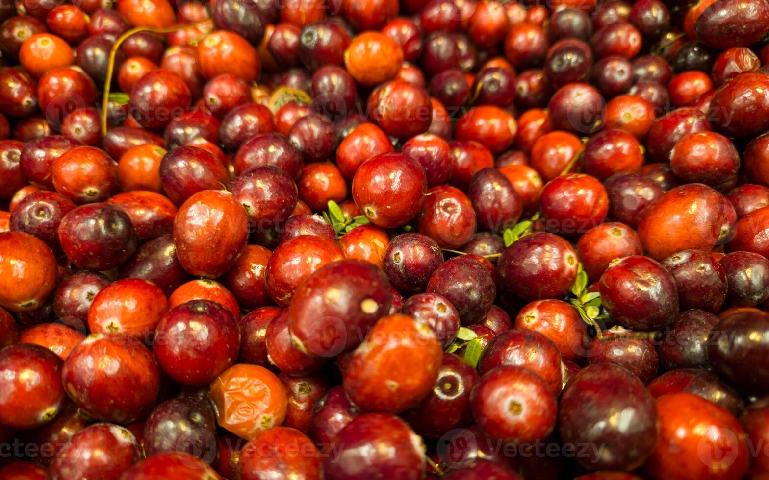 Cranberry background. Cranberries are on the shelve in store. Berries background photo