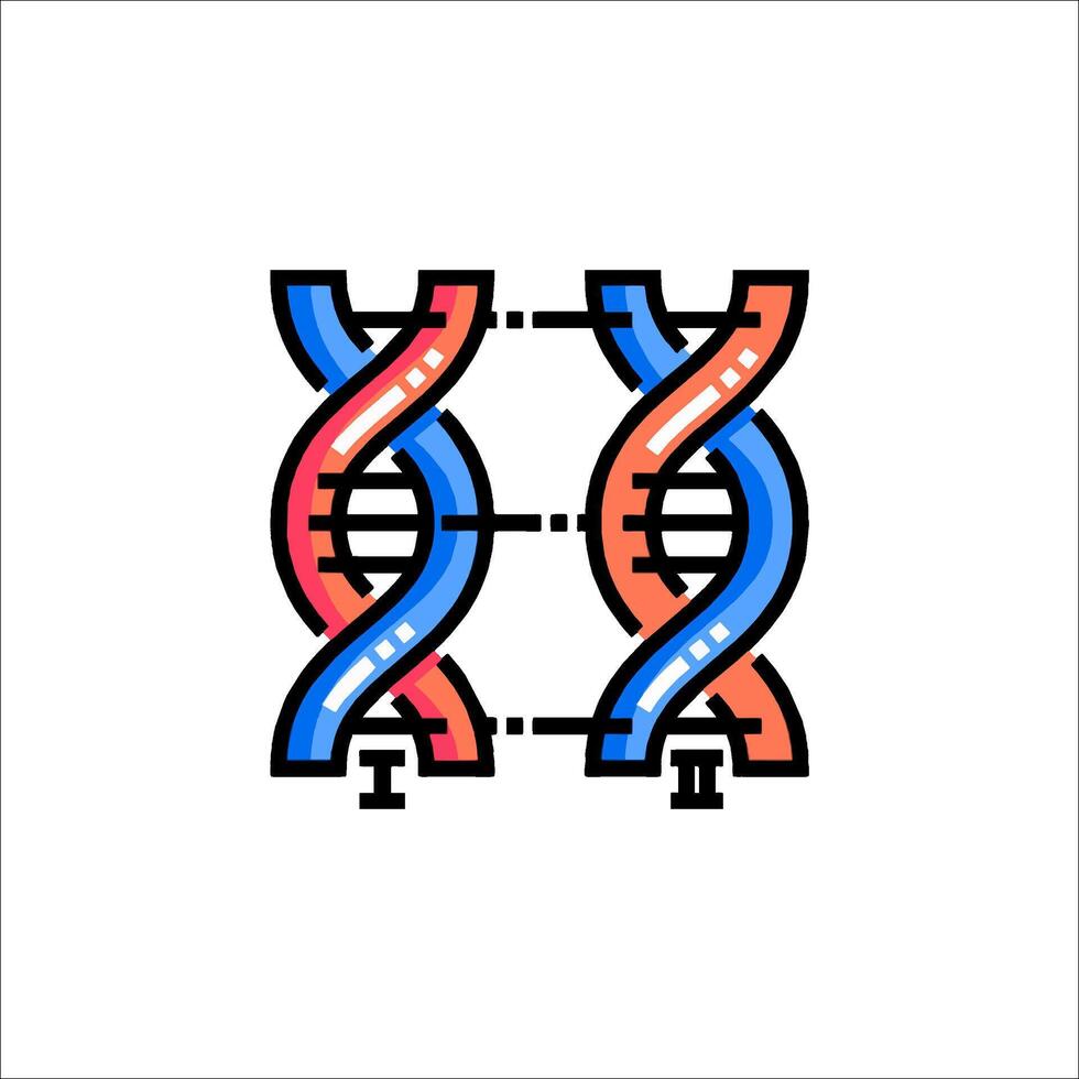 Two dna strands are shown in a line vector