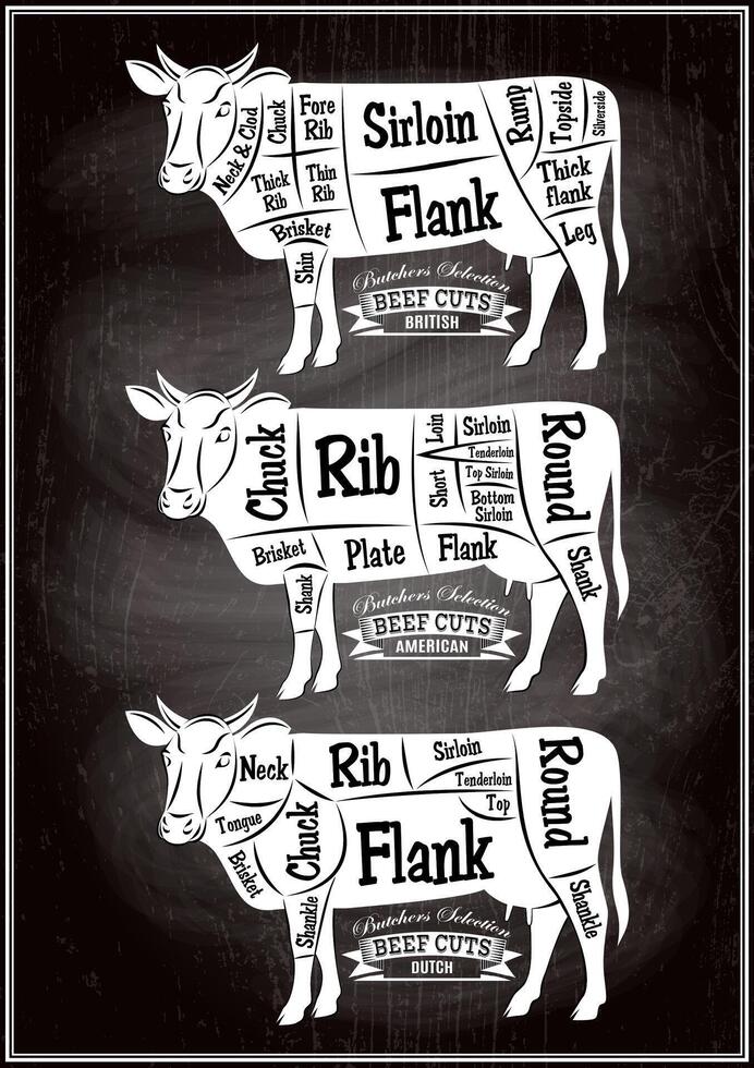 retro poster for restaurant with a variety of schemes butcher cow vector
