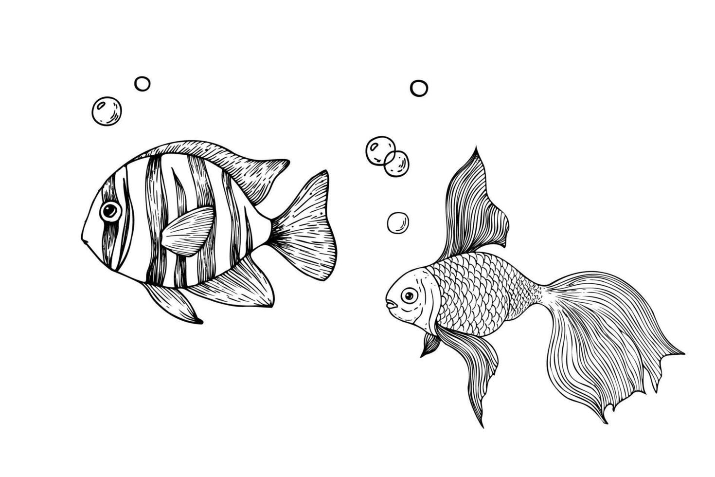tropical tropical and gold fish with bubbles. Hand painted line exotic reef. Graphic tropical clip art isolated on background. Underwater illustration. For designers, invitations, vector