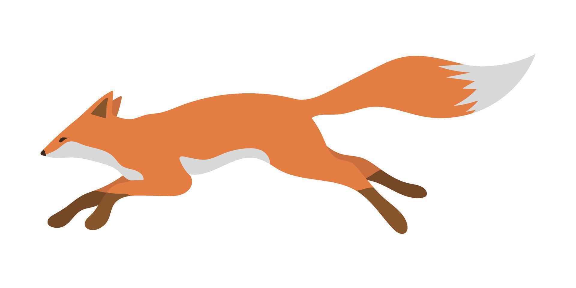 Fox in a jump. Hand drawn forest animal. Isolated illustration for print, background, logo, card vector