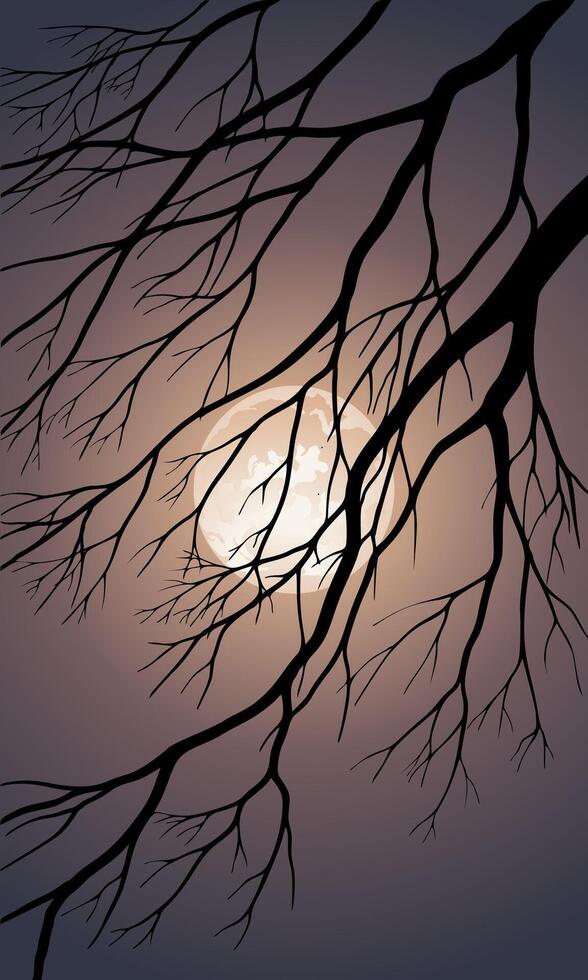 Tree branches silhouette and full moon vector