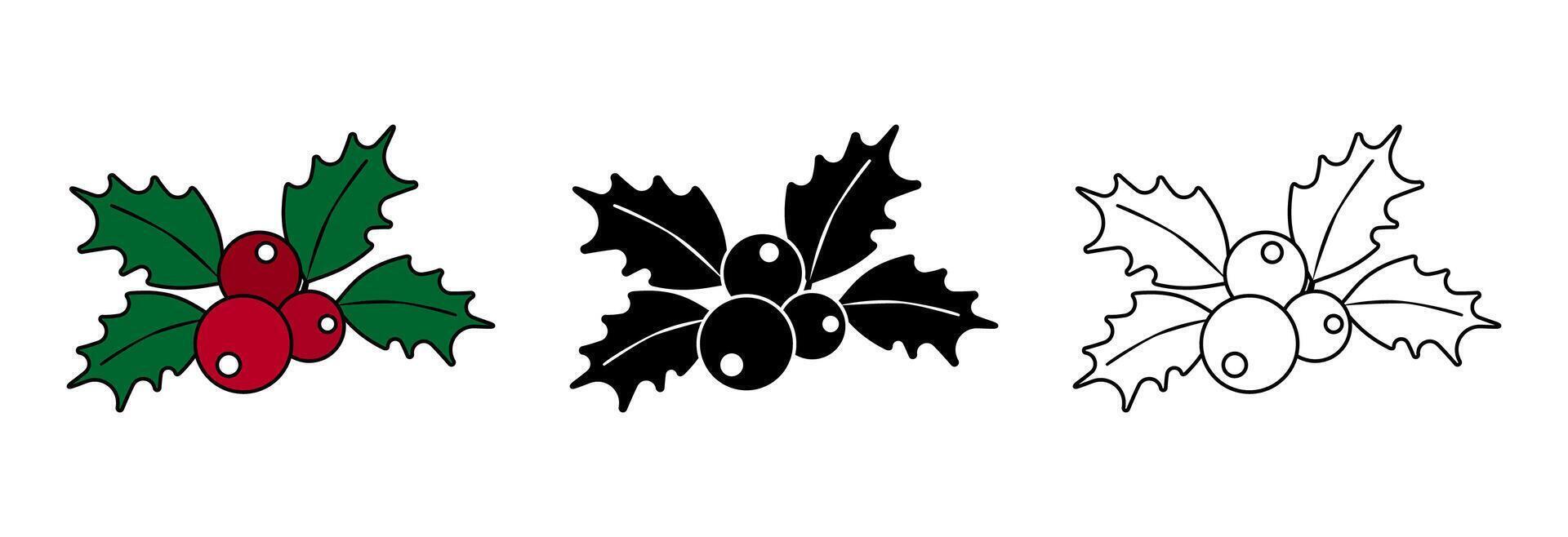 Holly berry icon. vector