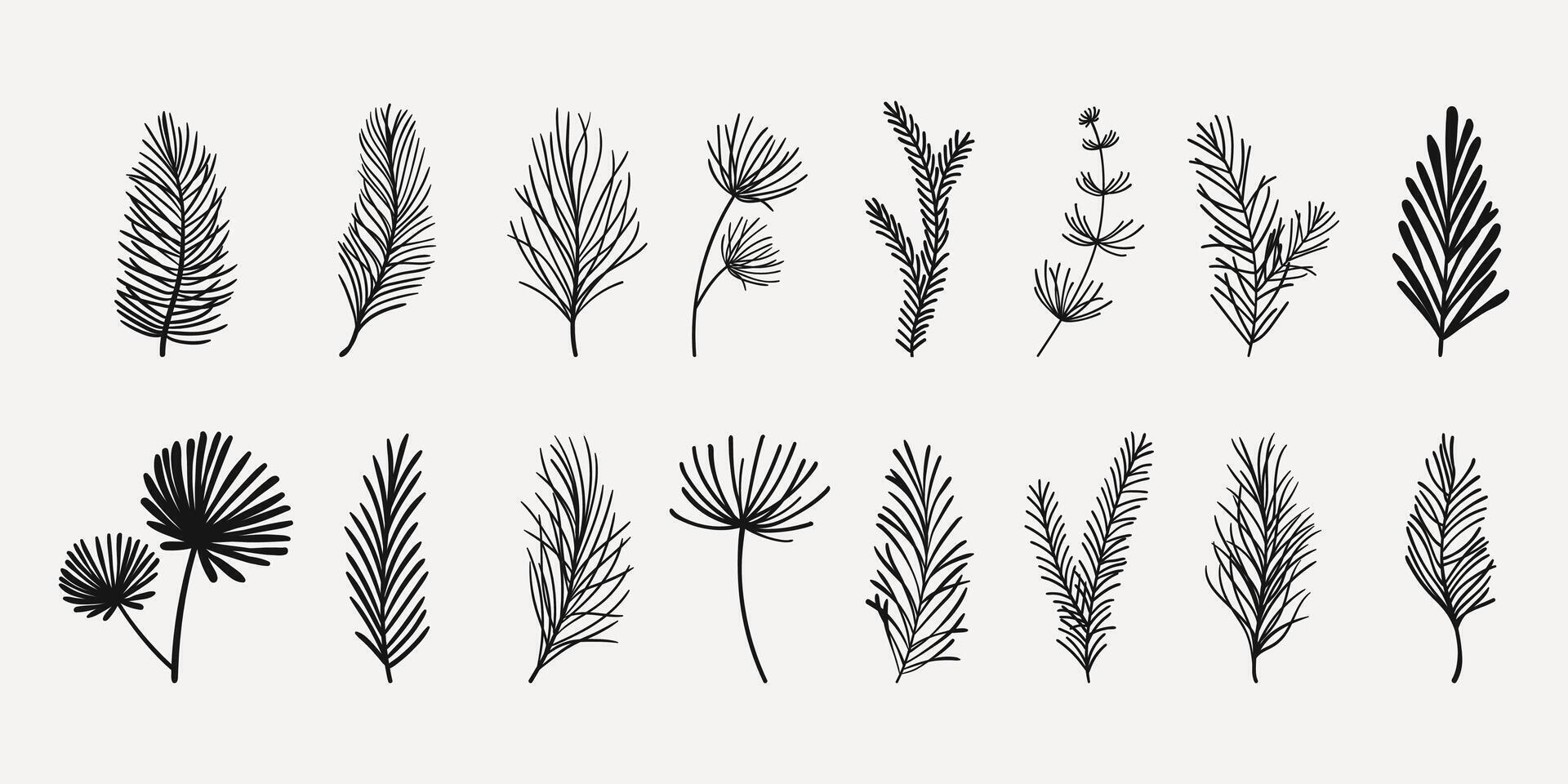 Cartoon Set of Flat Fir Tree Branches with Red Berries. Collection of spruce twigs in hand drawn cartoon style isolated on white background. vector
