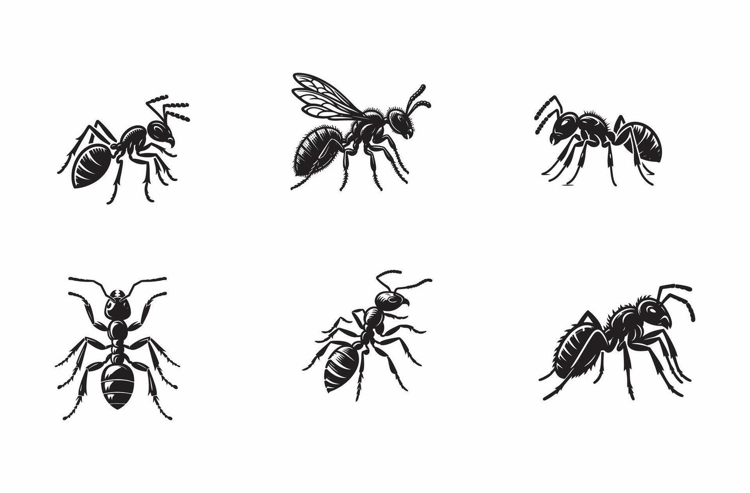 Ant line art silhouette illustration vector