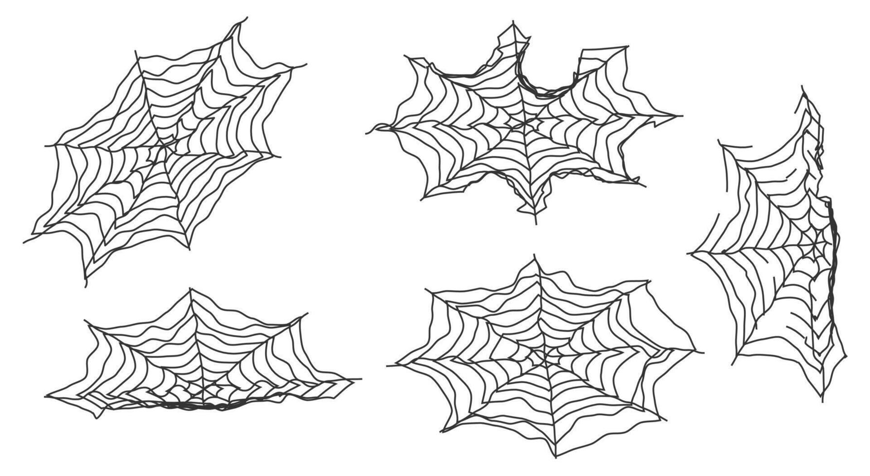 Spider web icon. Spider web design art illustration. vector