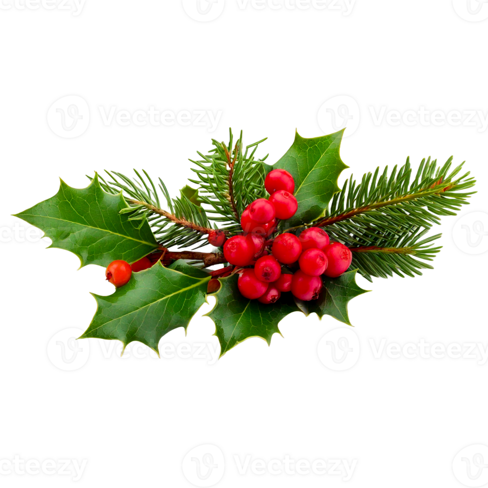 a christmas tree with a red berries on it png