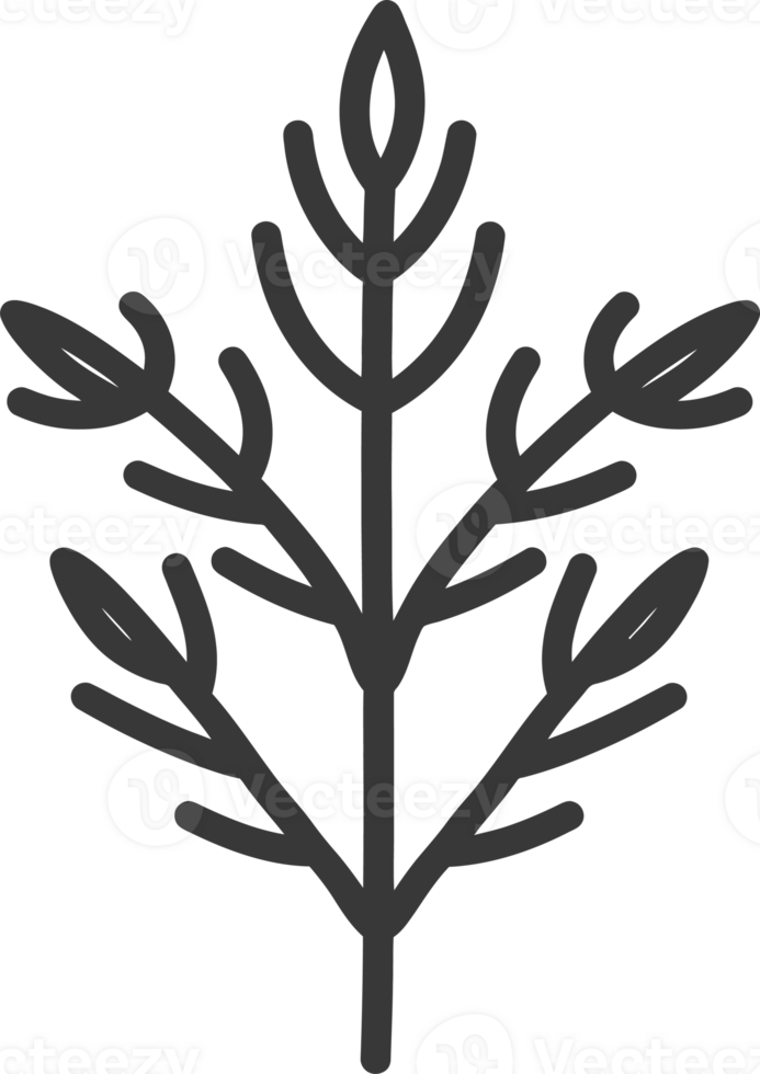 Simple Black and White Line Drawing of a Sprig with Five Branches and Nine Leaves png