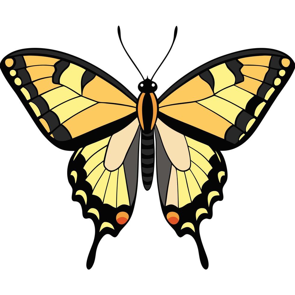 A butterfly with black and yellow wings vector