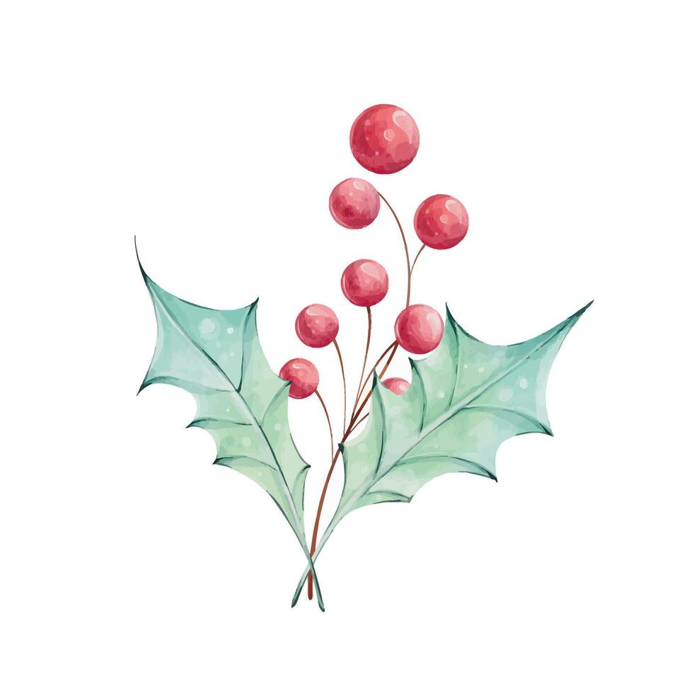 Christmas watercolor bouquet with holly green leaves and red berries. Winter composition, decor in retro style. Illustration hand drawn for design, printing, greeting cards. clip art vector