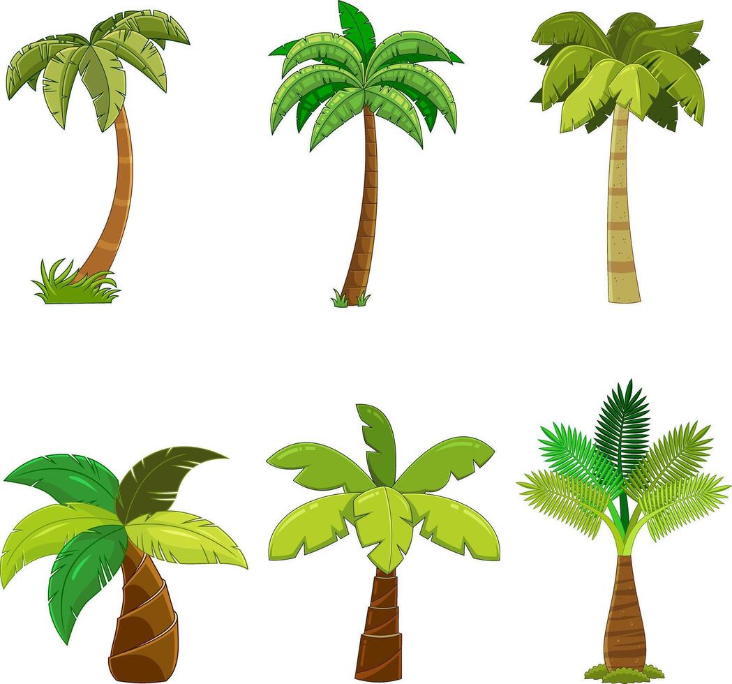 Cartoon Different Tropical Palm Tree. Hand Drawn Collection Set vector