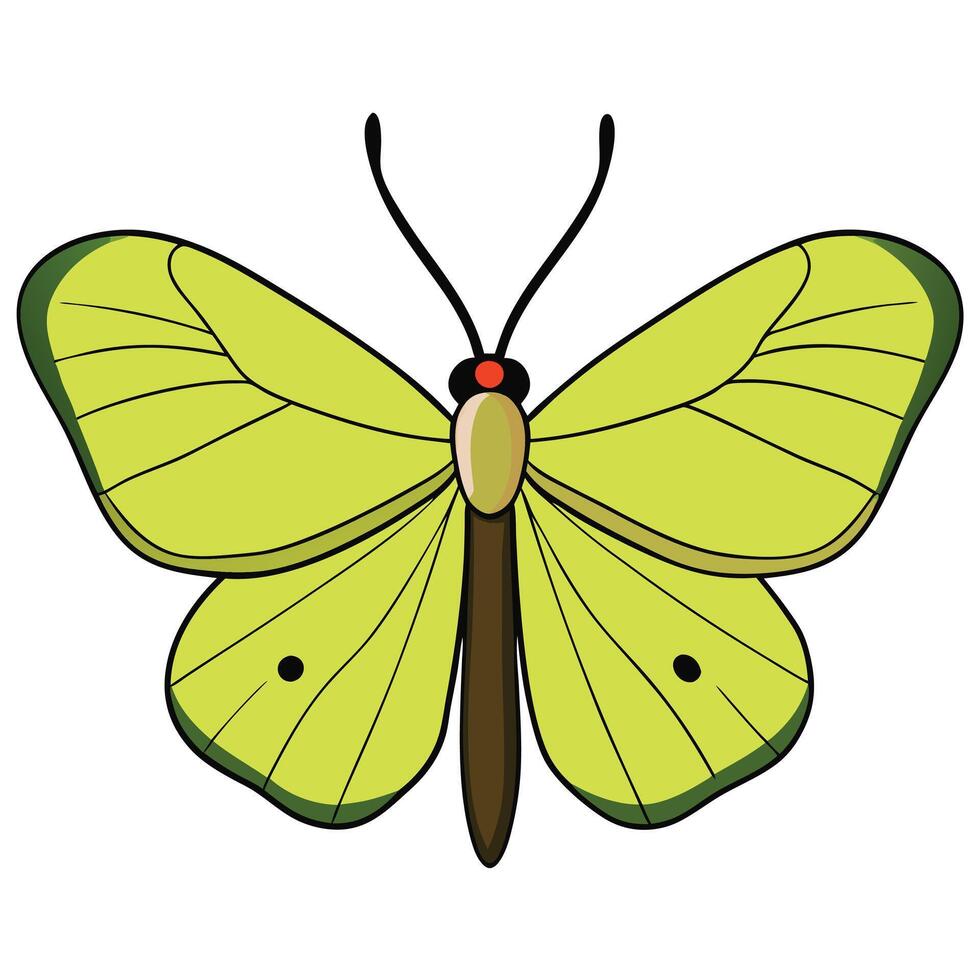 A cartoon butterfly with green wings and black eyes vector