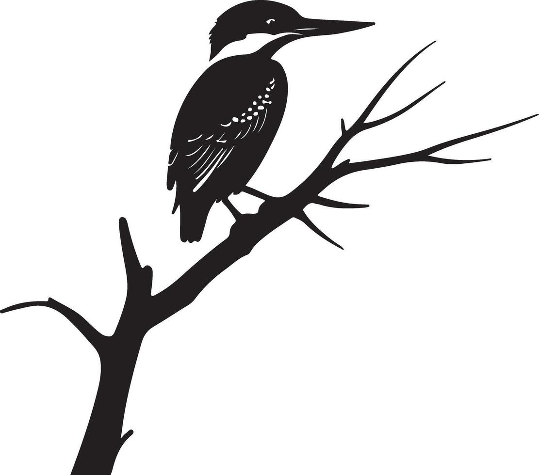 A black and white silhouette of a bird sitting on a tree branch vector