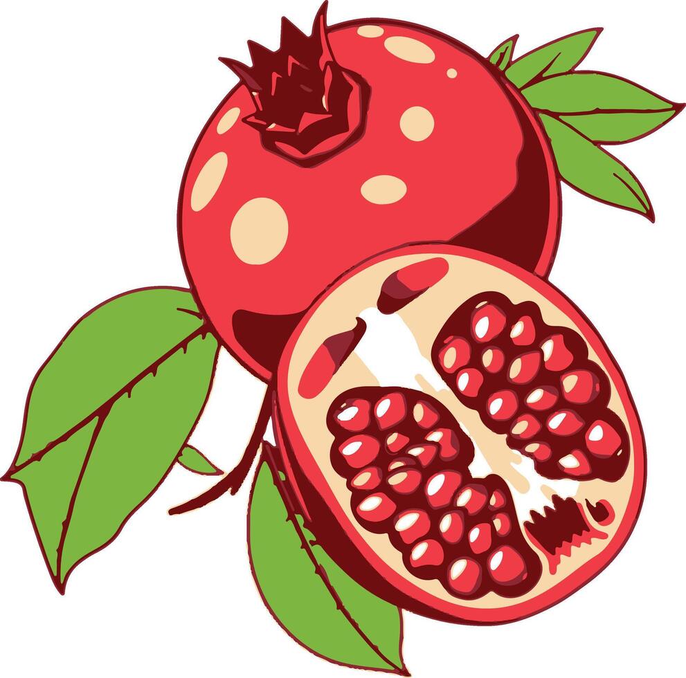 Pomegranate illustration healthy fruit vector
