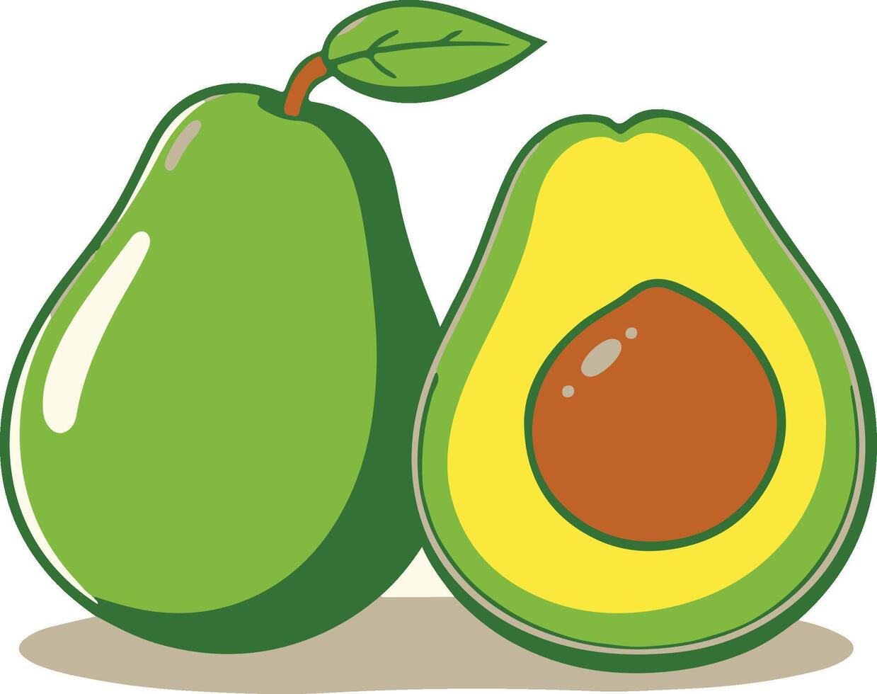 Avocado illustration healthy fruit vector