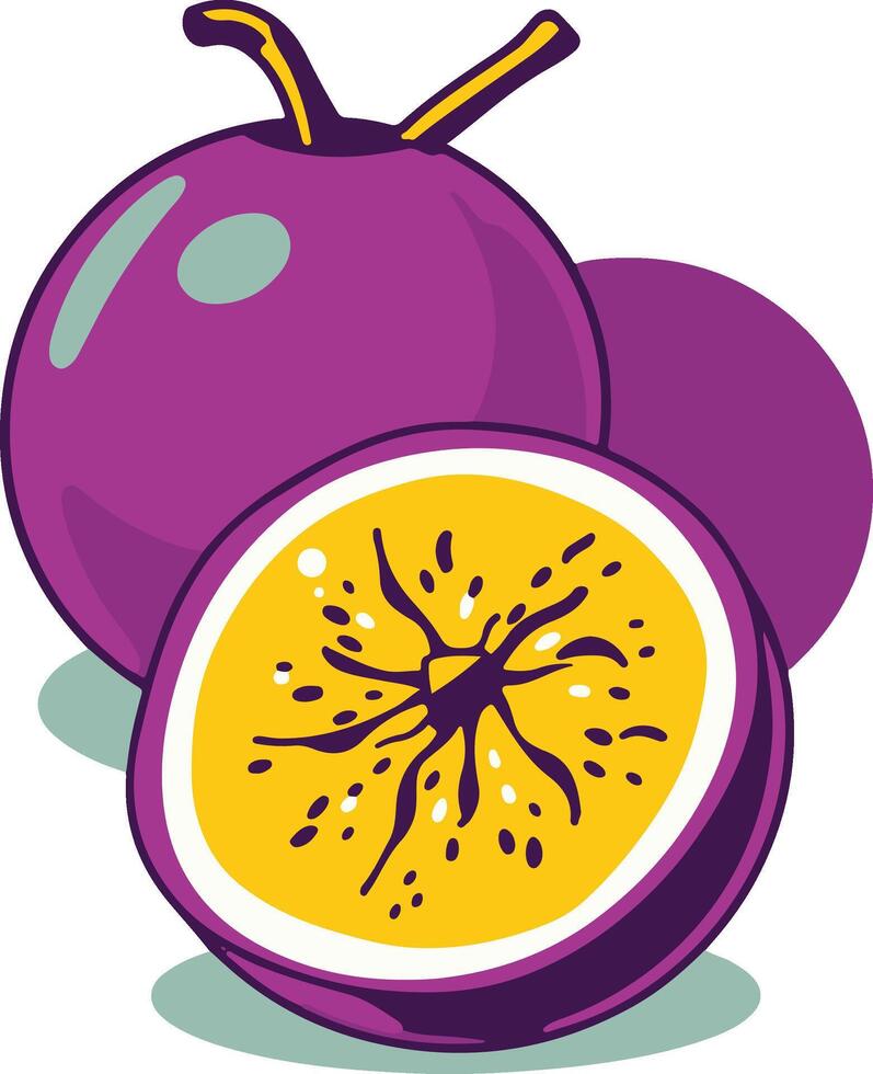 Passionfruit illustration healthy fruit vector
