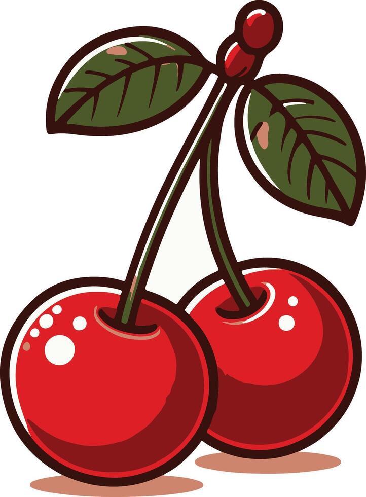 Cherry illustration healthy fruit vector