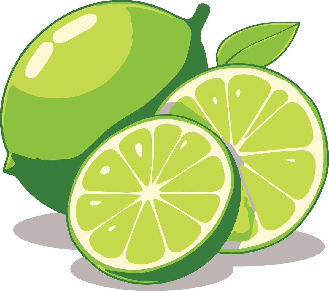 Lime illustration fruit lemon vector