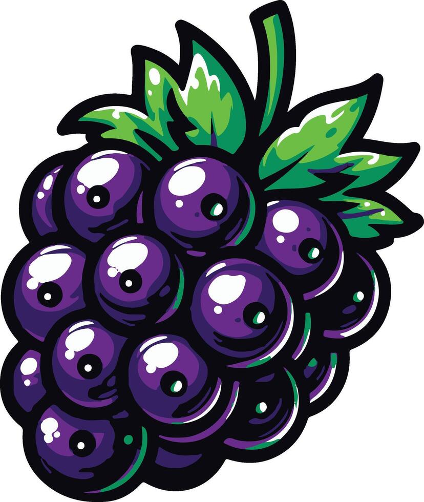 Blackberry illustration healthy fruit vector