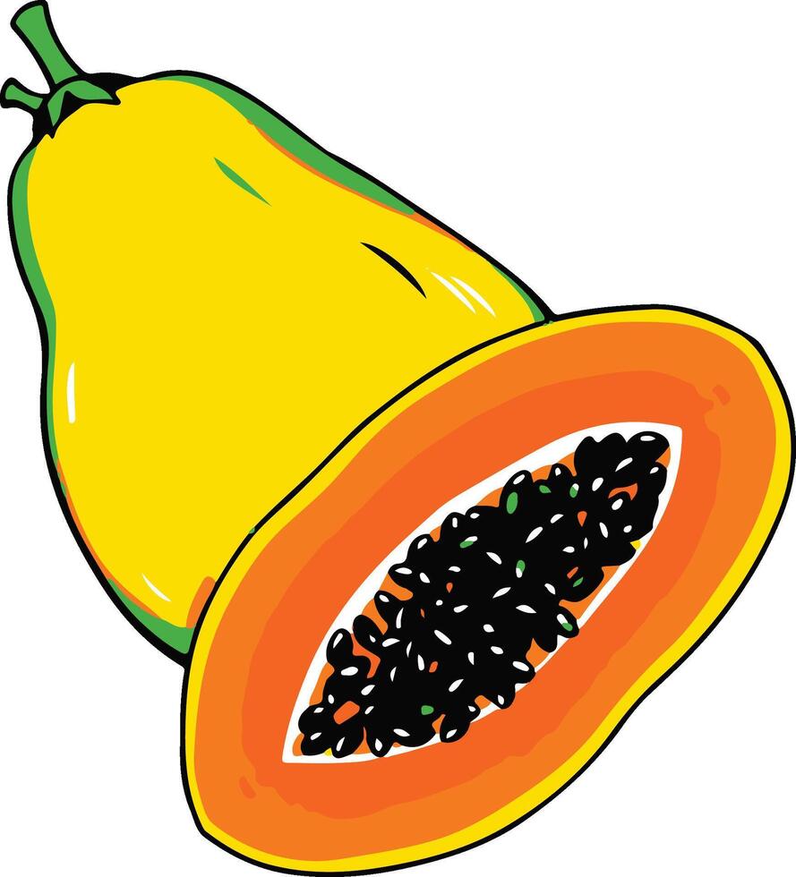 Papaya illustration healthy fruit vector