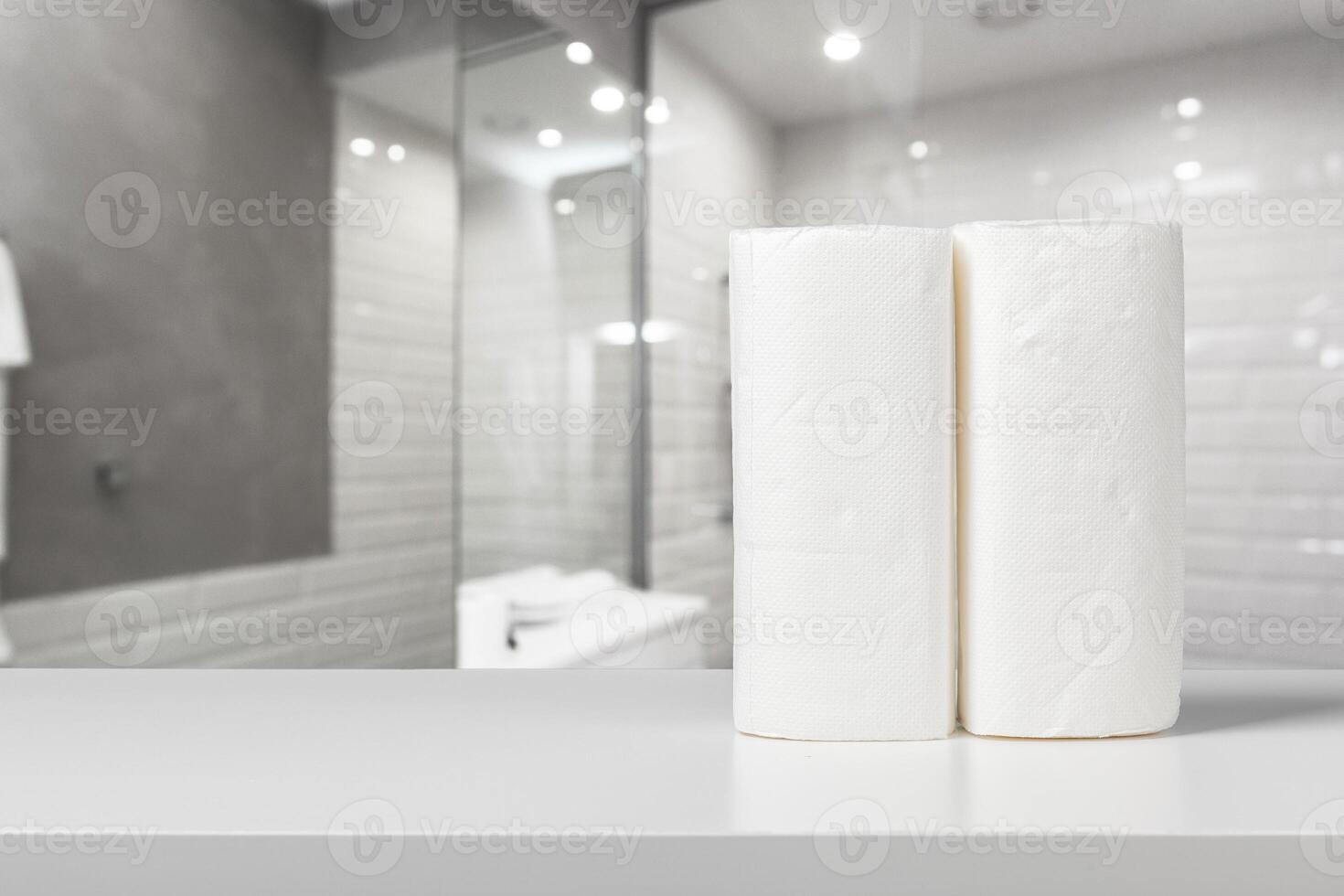 paper towel rolls photo