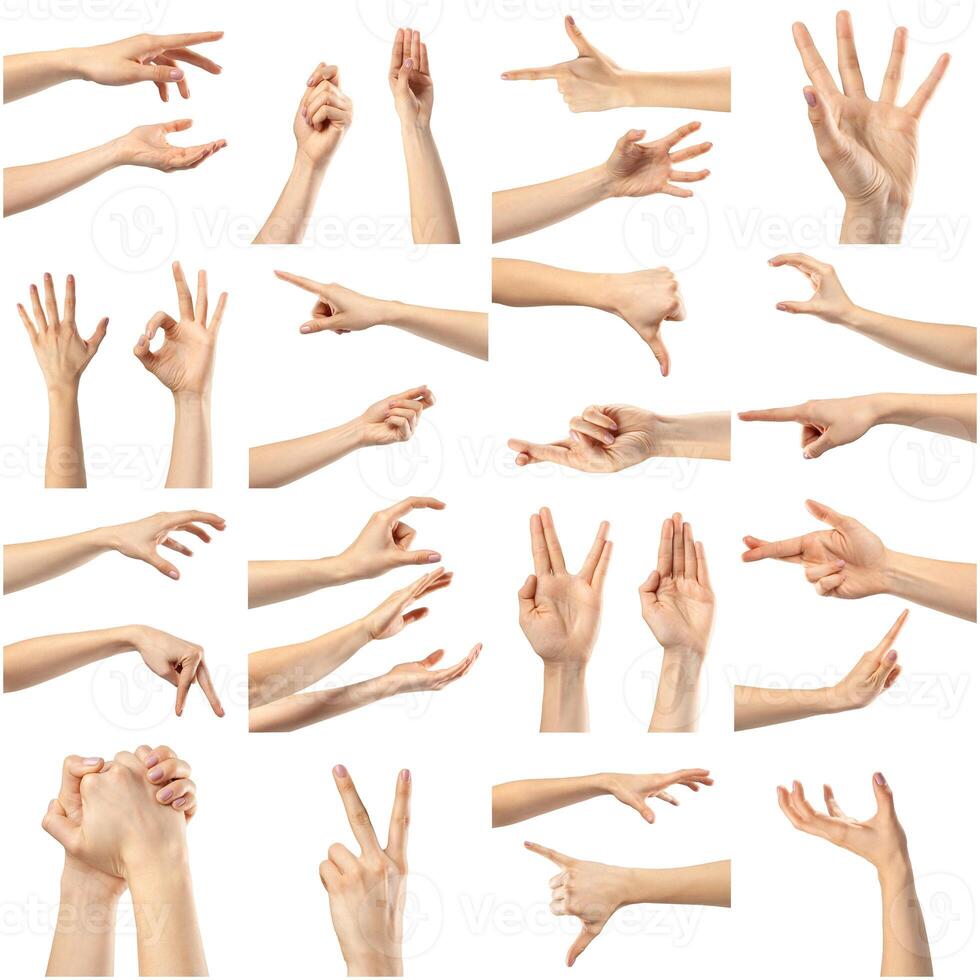 Collage of woman hands photo