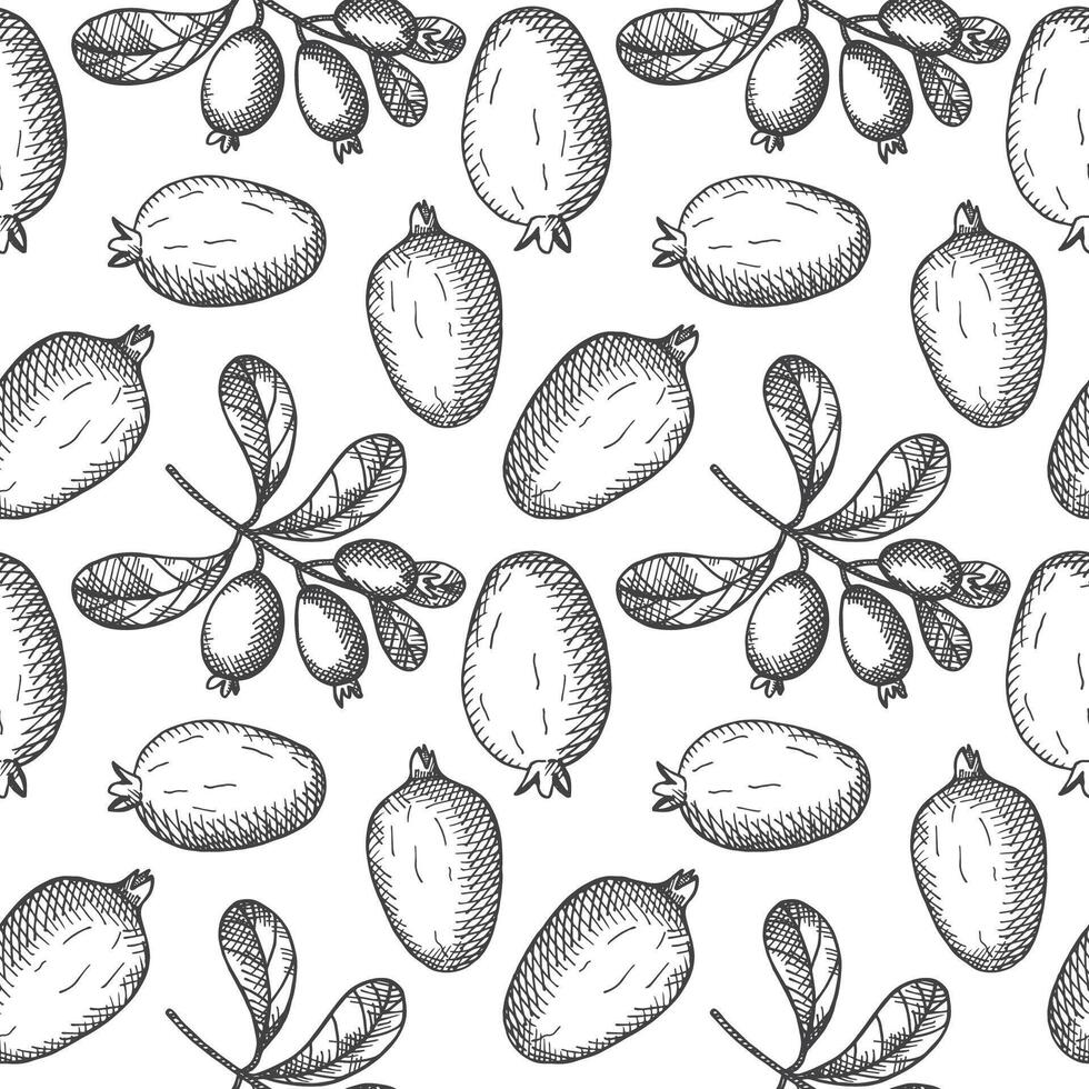 Engraved seamless pattern with Feijoa plants. Hand drawn repeating background with branch and fruits of tropical berry edible feijoa. Food, dessert. Design element for label, wrapping, card vector