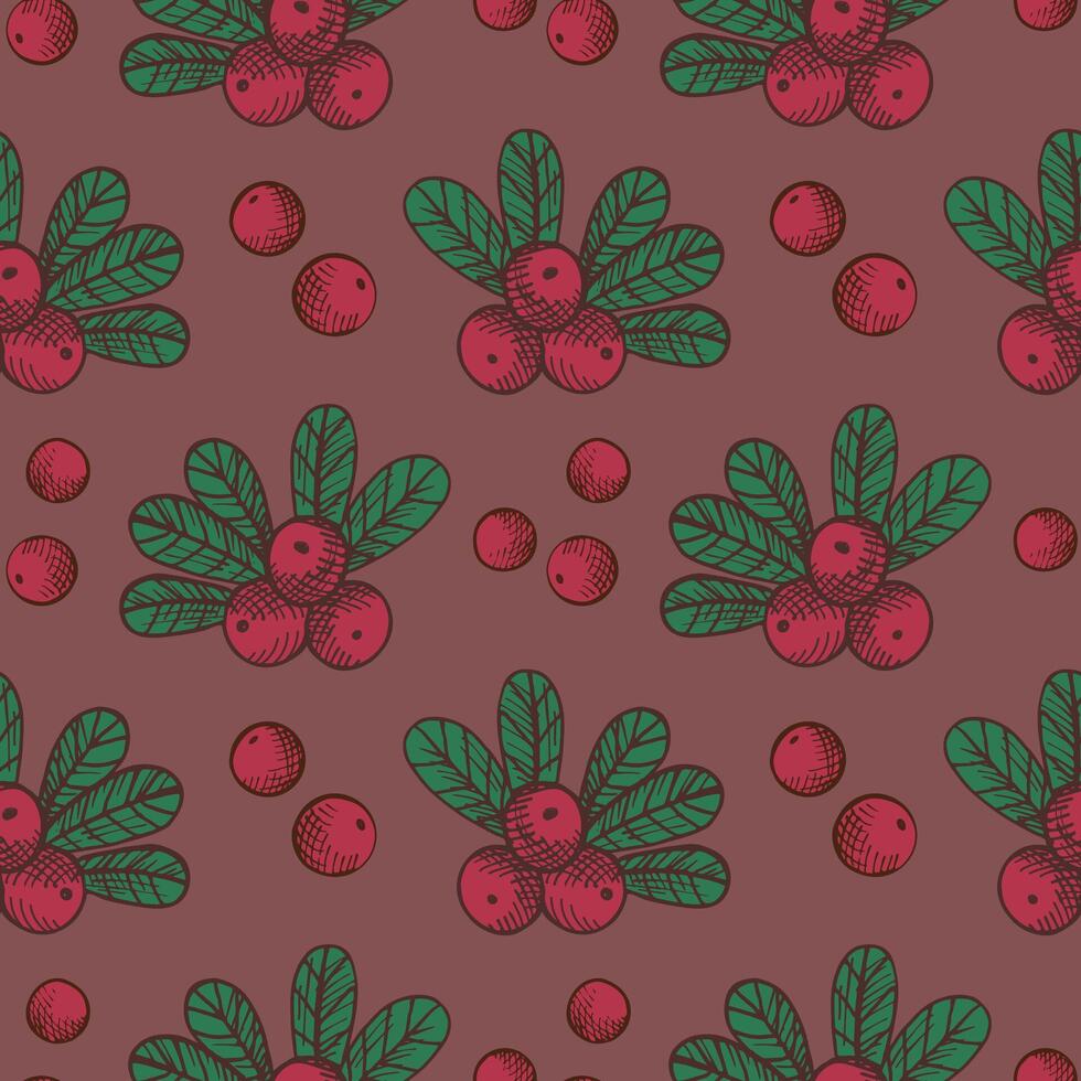 Seamless pattern with Cranberry. Repeating texture background with northern cranberry plant, berries, branch, fruits. Floral motif for design label, card, print, wrapping, paper vector