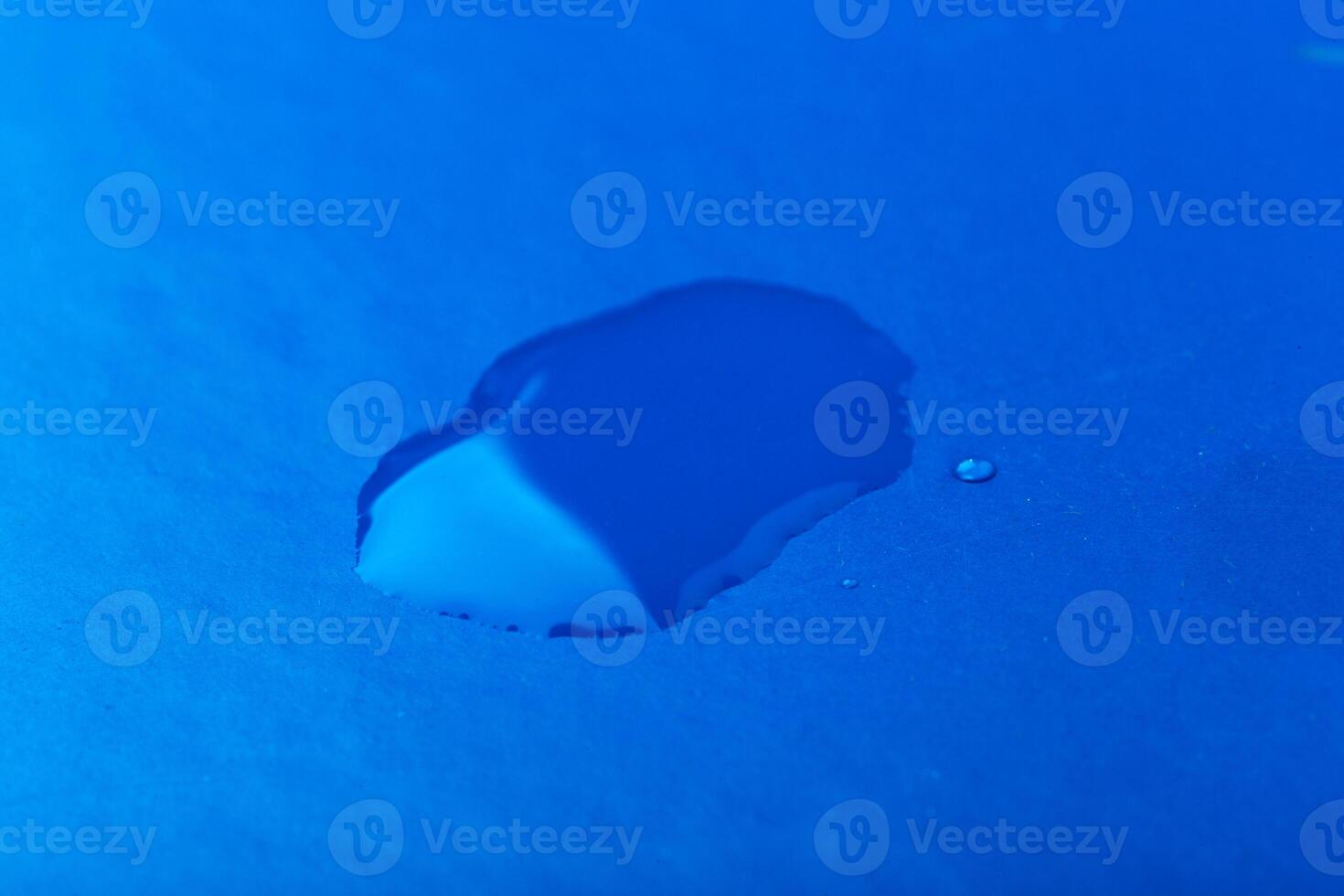 water drop on surface of fresh blue background photo