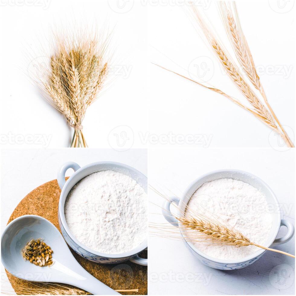 White flour with wheat photo
