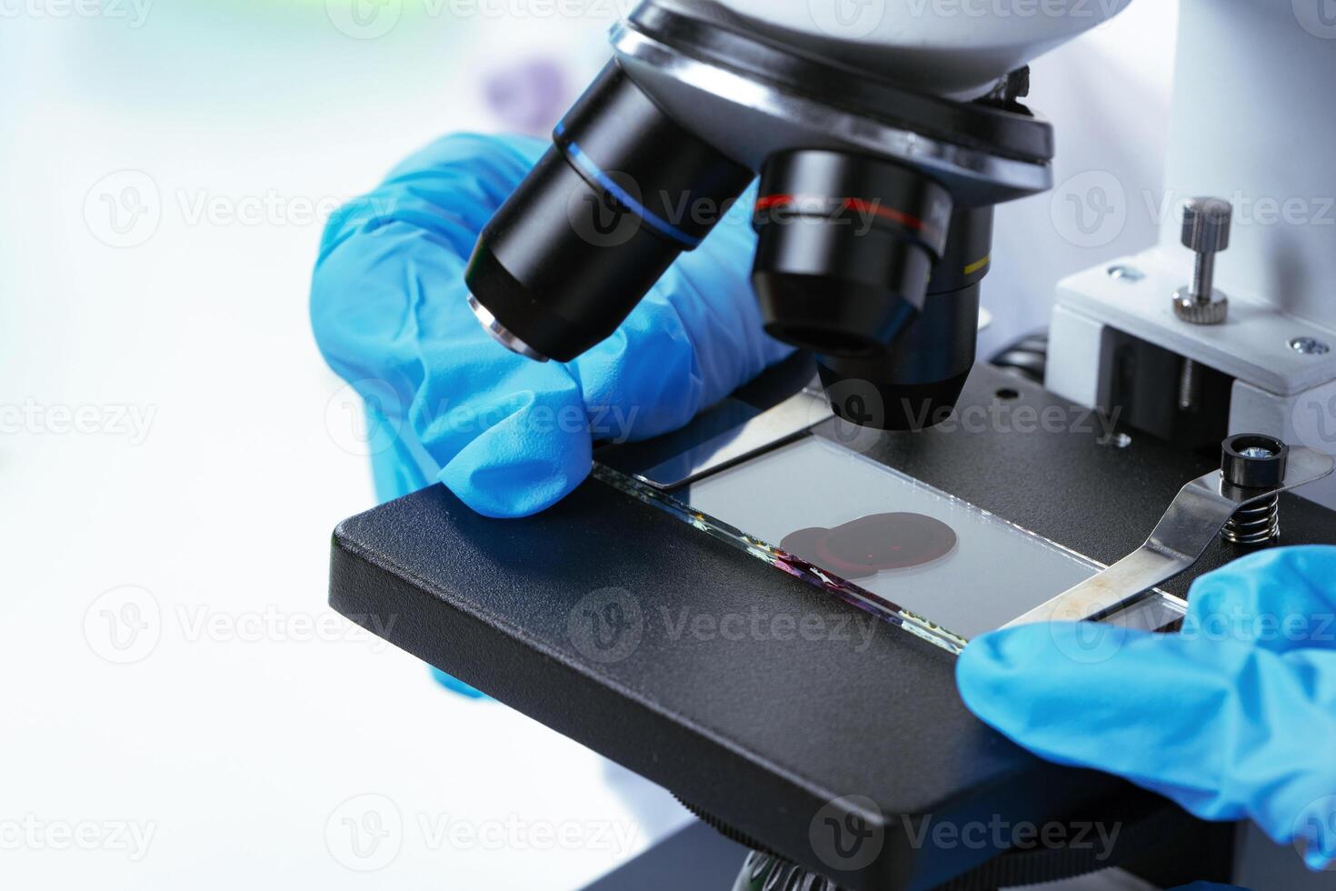 Hands of a laboratory worker doing blood test photo