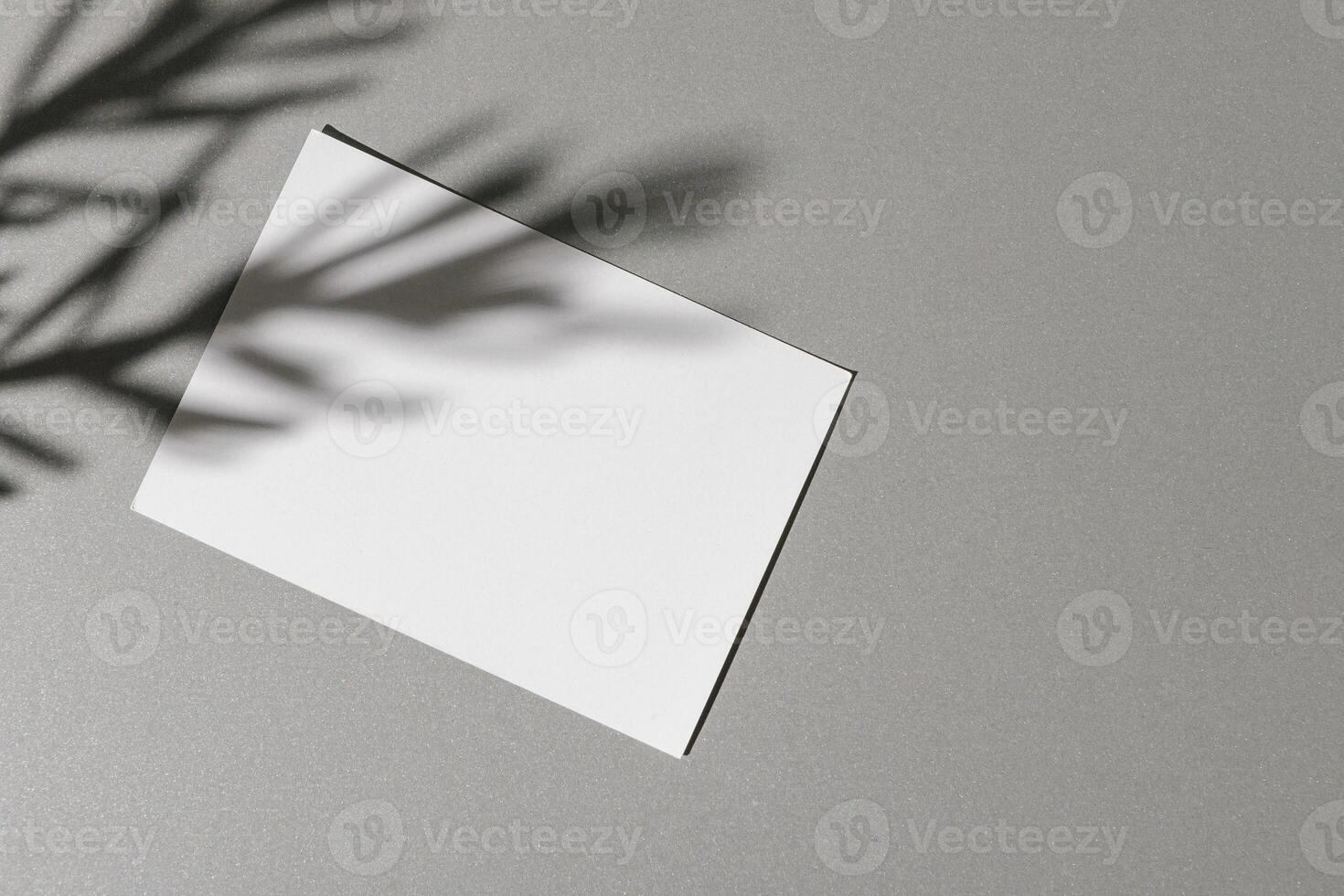 Business card on paper background with foliage shadow photo