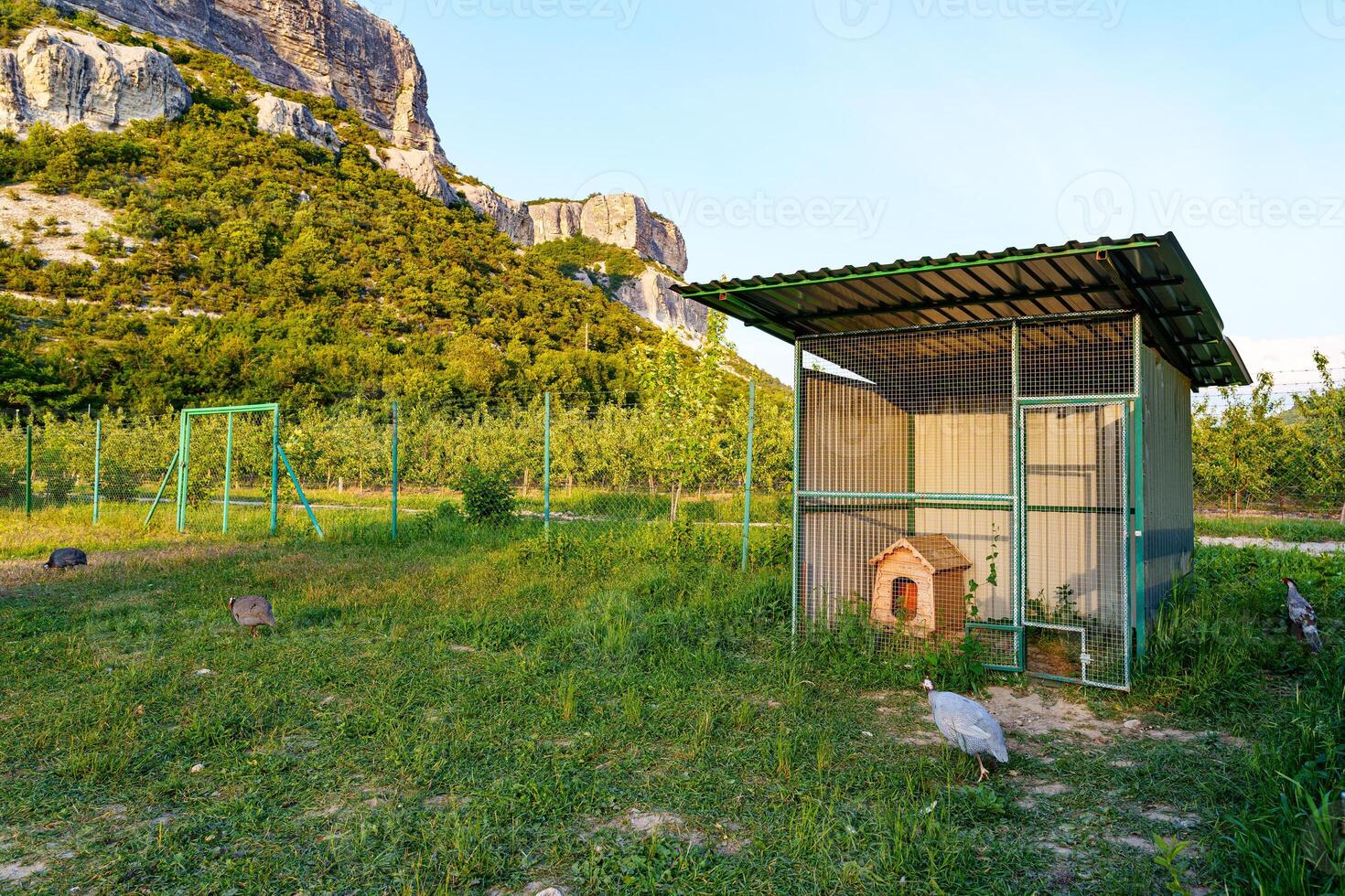 A rural dog kennel sits beside a green meadow under a clear sky with mountains in the background photo