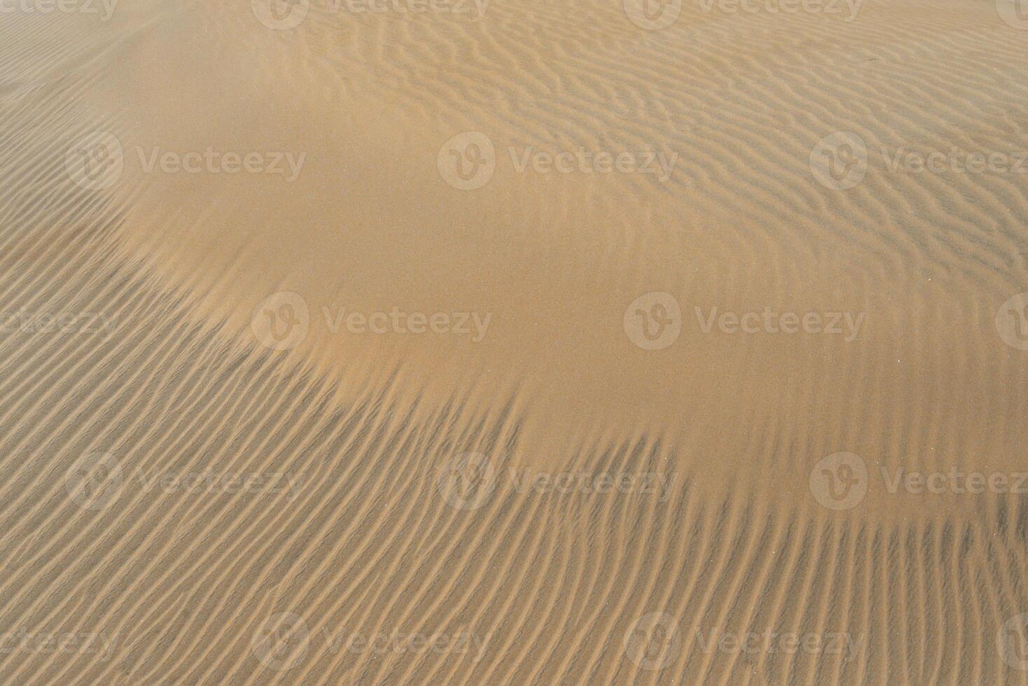 Sand textured pattern with copy space. Abstract background wallpaper. Sand waves in a desert dune photo
