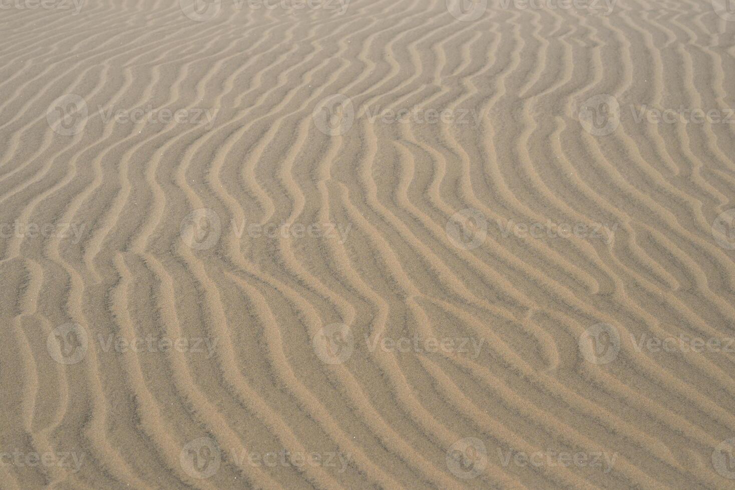 Sand textured pattern with copy space. Abstract background wallpaper. Sand waves in a desert dune photo