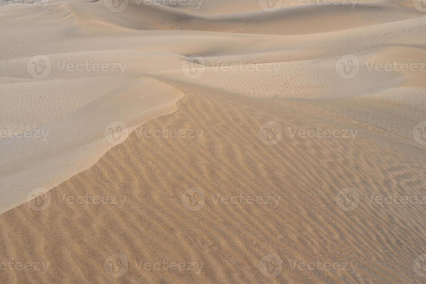 Sand textured pattern with copy space. Abstract background wallpaper. Sand waves in a desert dune photo