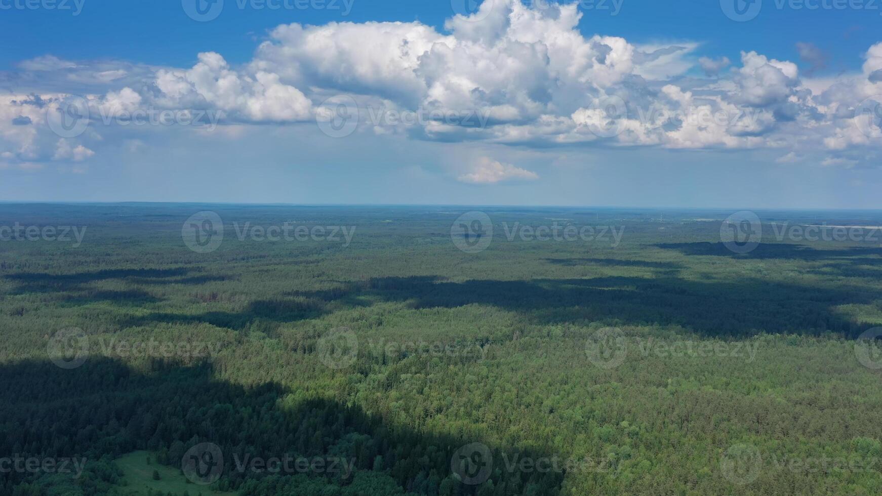 Aerial view of summer forest photo