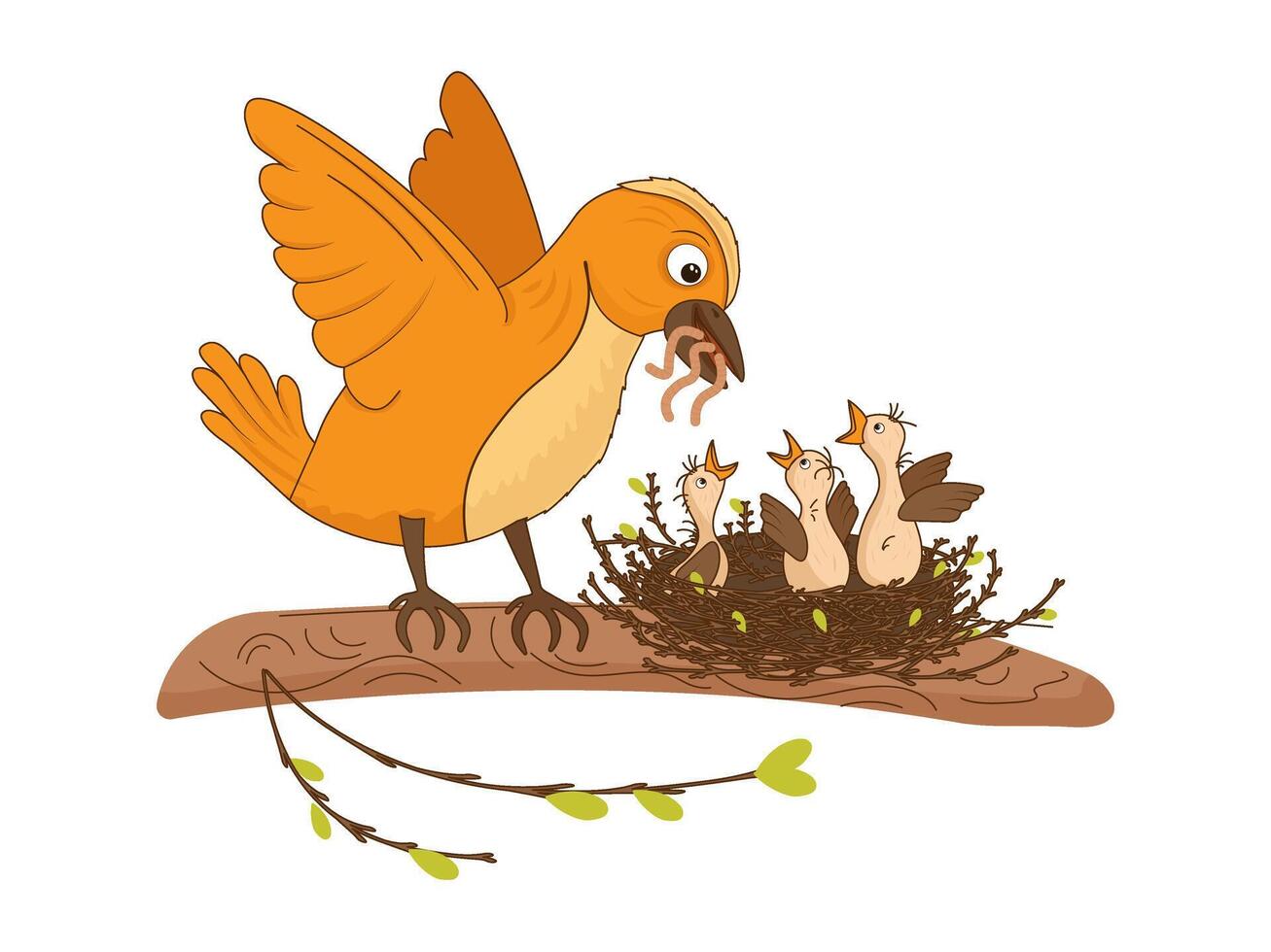 Bird feeds chicks with worms. Chicks waiting for food in the nest. illustration with birds, nest, branch, mother bird, worm food. Picture for books, postcards, educational cards. vector