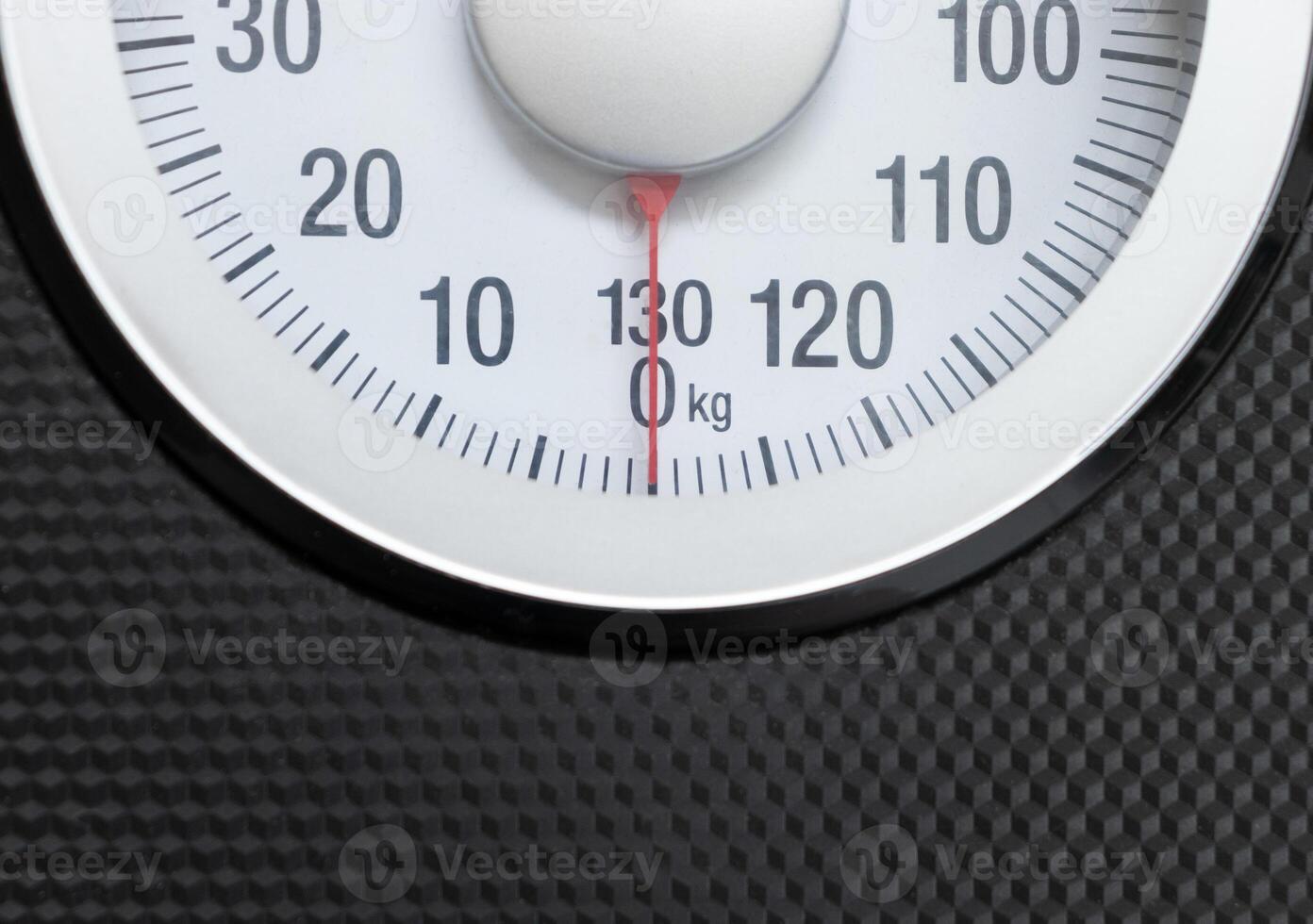 Close-up view of a scale. After edits. photo