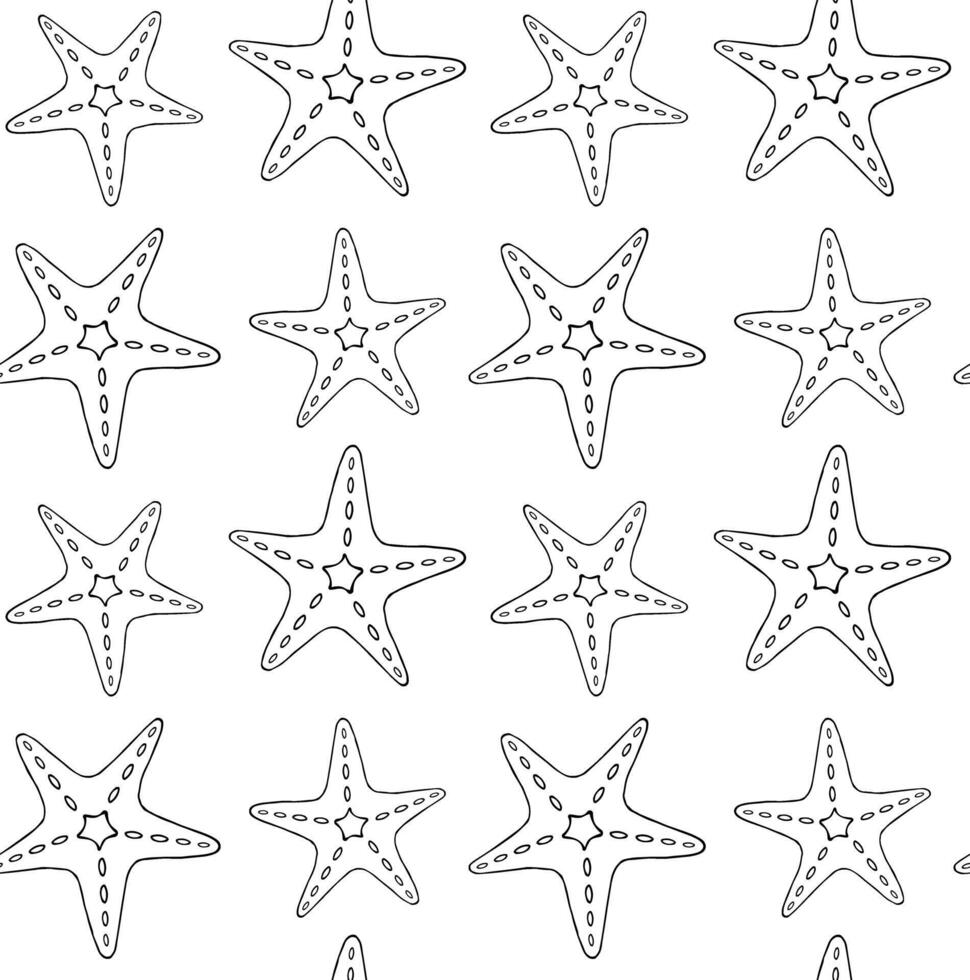 Seamless pattern of sketch sea star vector