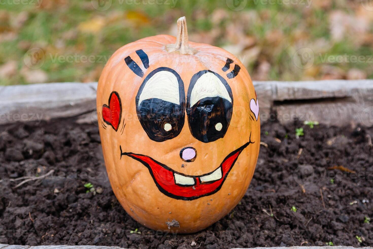 Beautiful pumpkins for halloween photo